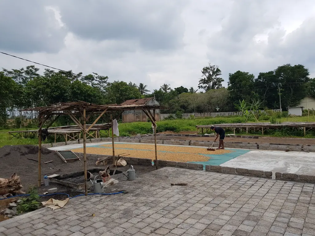 20220205_113644-X2.webp