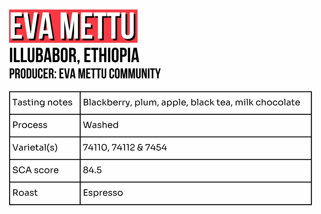 3x2 - Webshop - Eva Mettu.webp