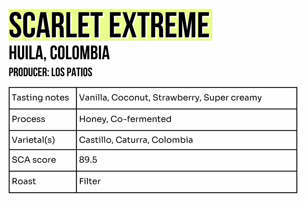 3x2 - Sample - Scarlet Extreme.webp