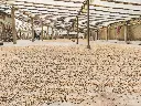 Patios-03.webp