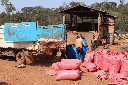 Film Export-47-X3.webp