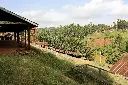 54471204877_46e31d8692_o.webp