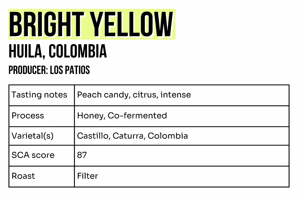 3x2 - Sample - Bright Yellow (1).webp