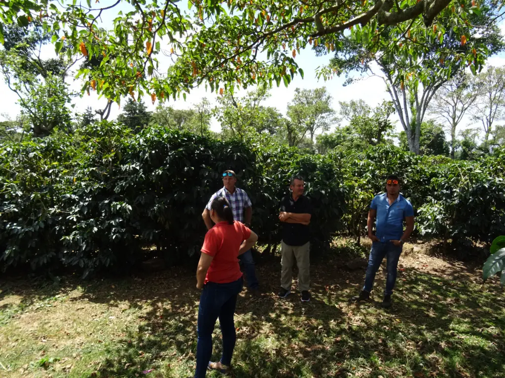 Copie de DSC01431.webp