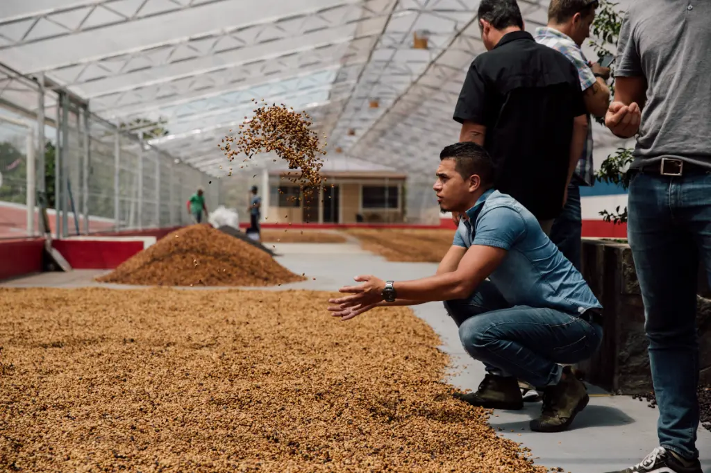 Copie de El-Salvador-and-Costa-Rica-175-of-259.webp