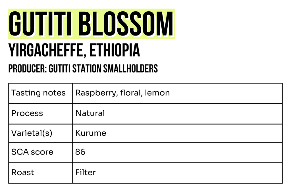 3x2 - Sample - Gutiti.png