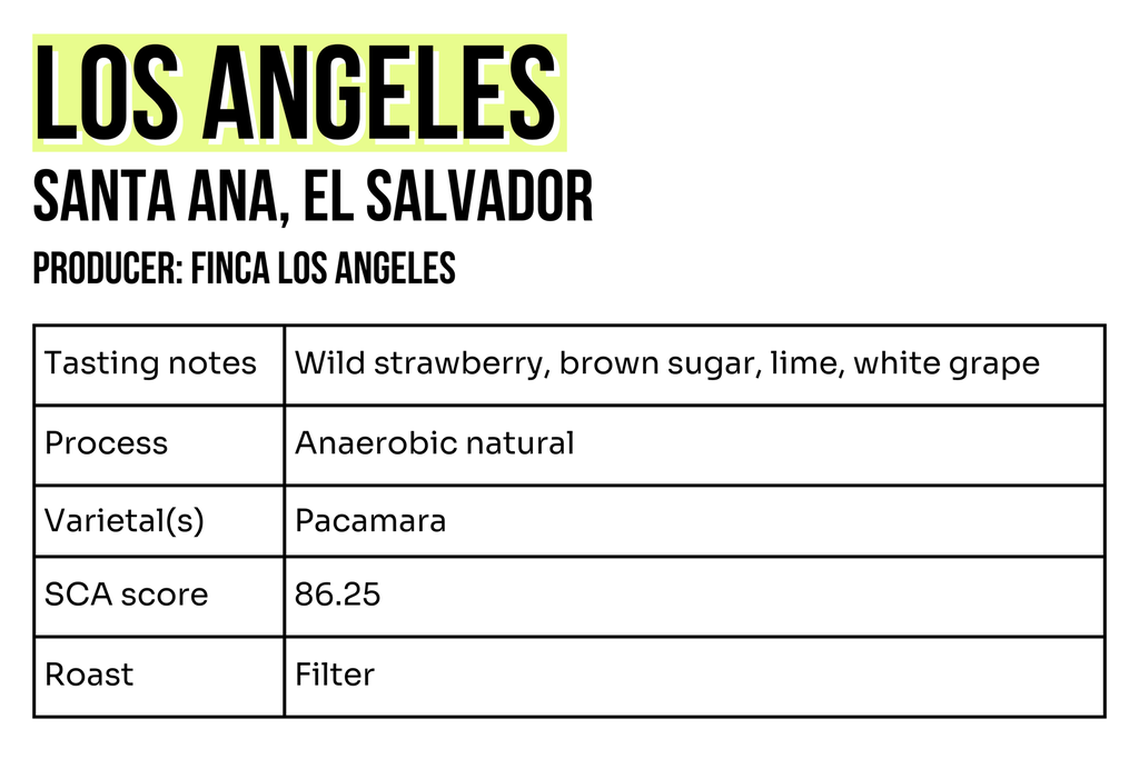 3x2 - Sample - Los Angeles.png