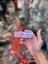 Bivouac Cayolar 3.jpg