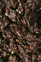 Bivouac Pause 4.webp