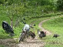 IMG_8884.webp