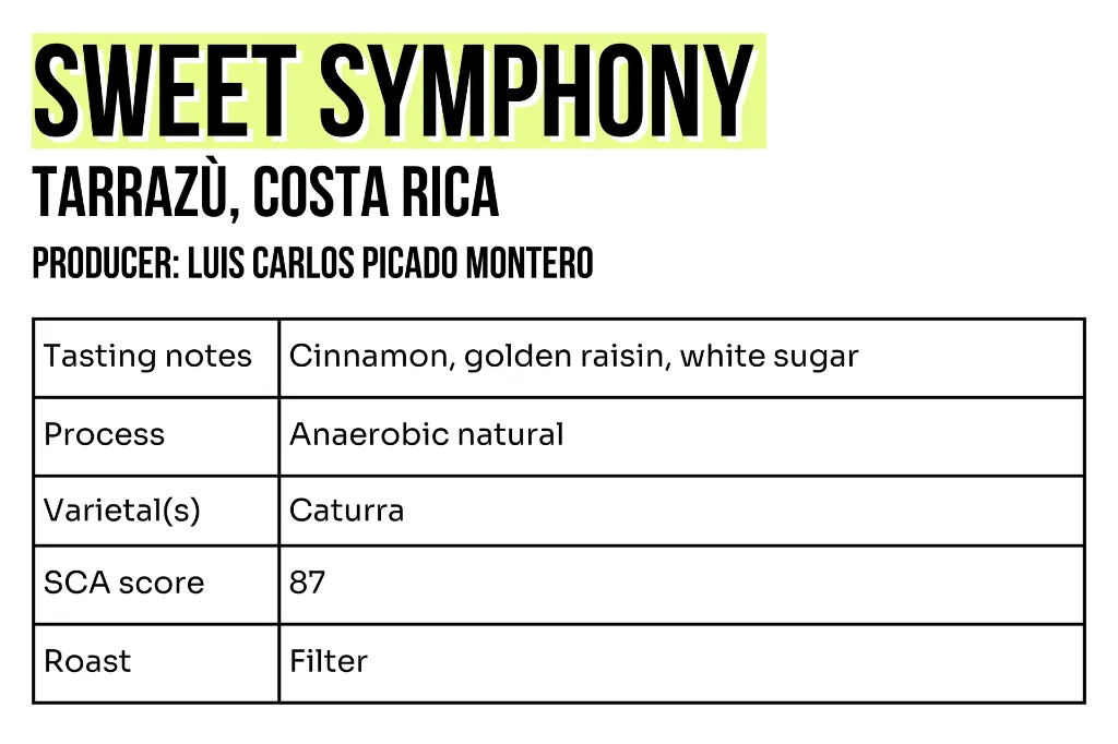 3x2 - Sample - Sweet symphony.webp