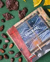 Bivouac twinkle 3.webp