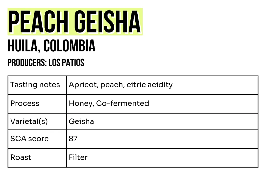 3x2 - Sample - Peach Geisha.webp