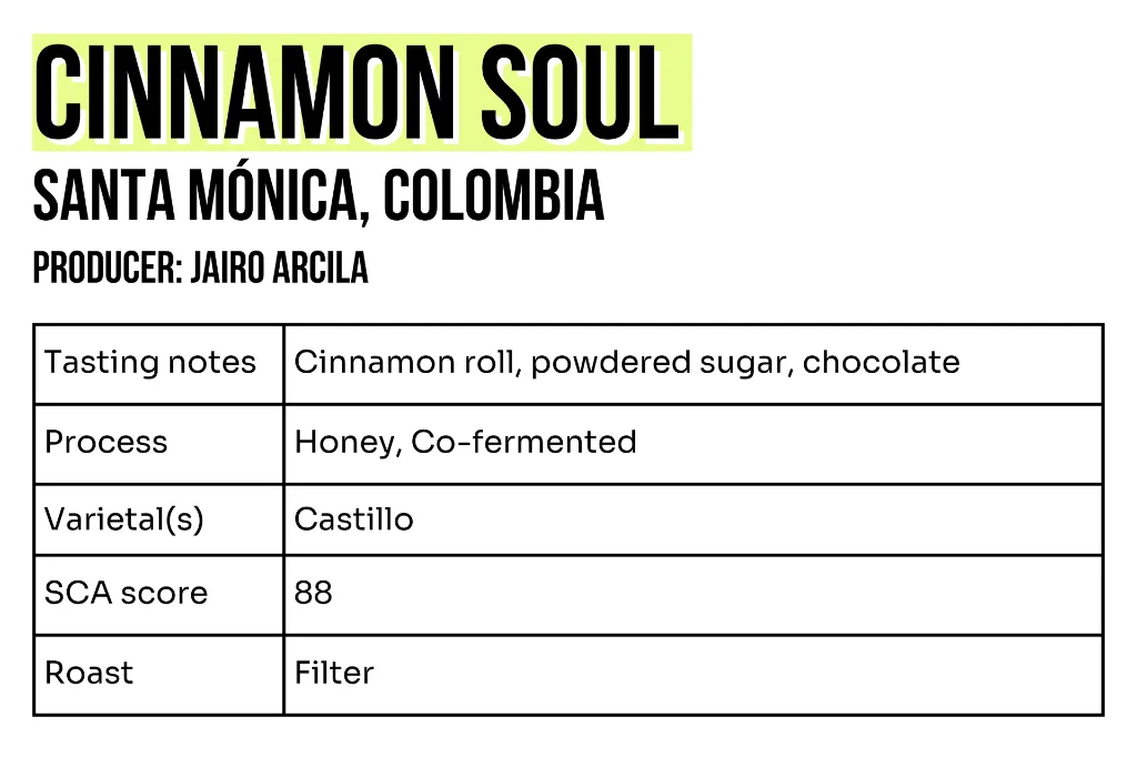 3x2 - Sample - Cinnamon Bun.webp