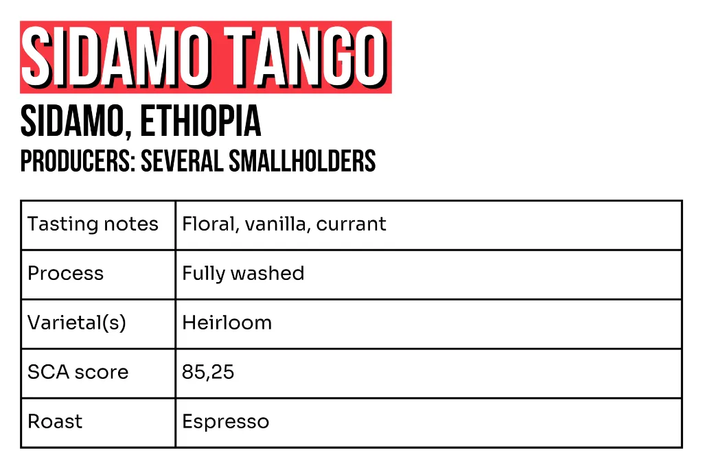3x2 - Webshop - Sidamo Tango.webp