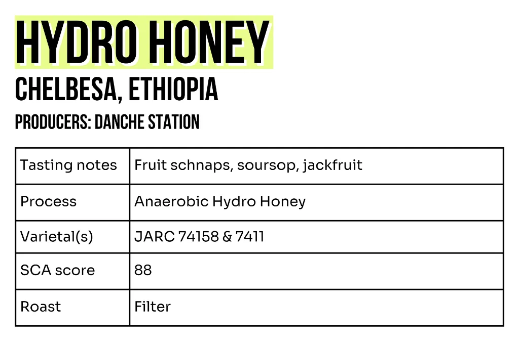 3x2 - Sample - Hydro Honey.webp